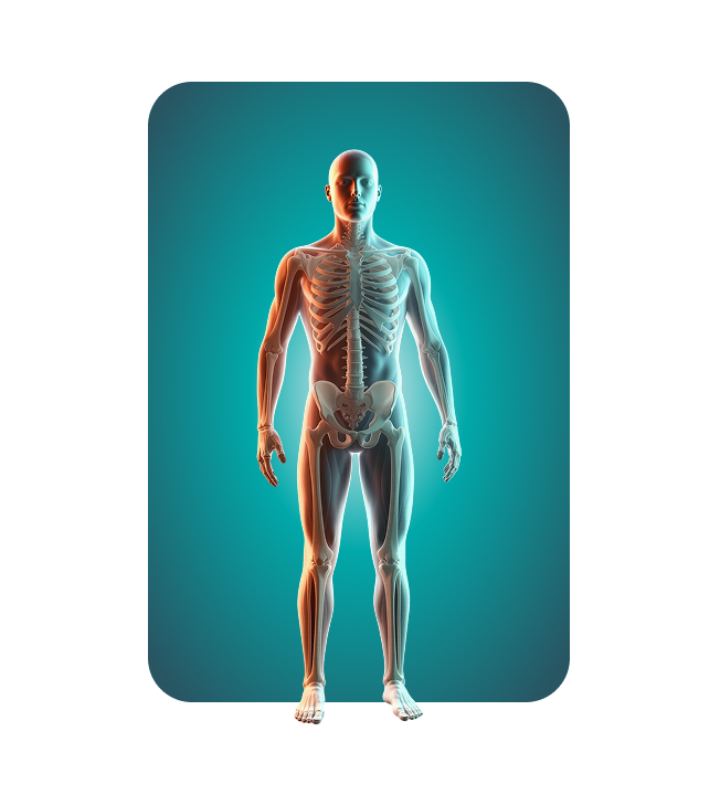 CP Medica – realizacja Beevision
