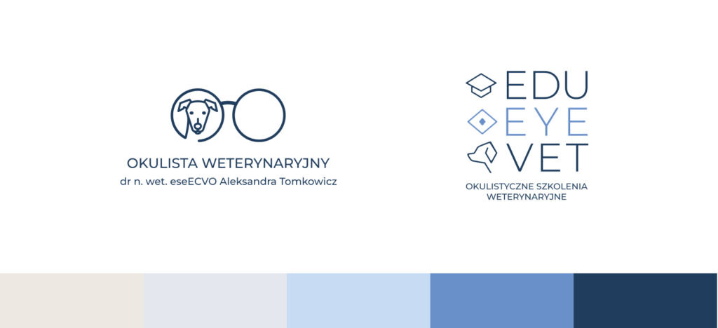 EduEyeVet – realizacja Beevision