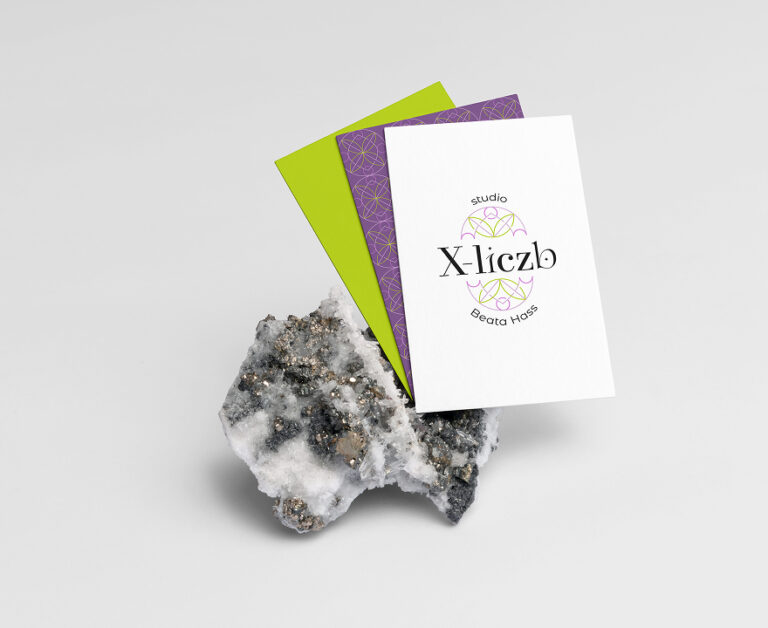 Studio X-liczb – realizacja Beevision