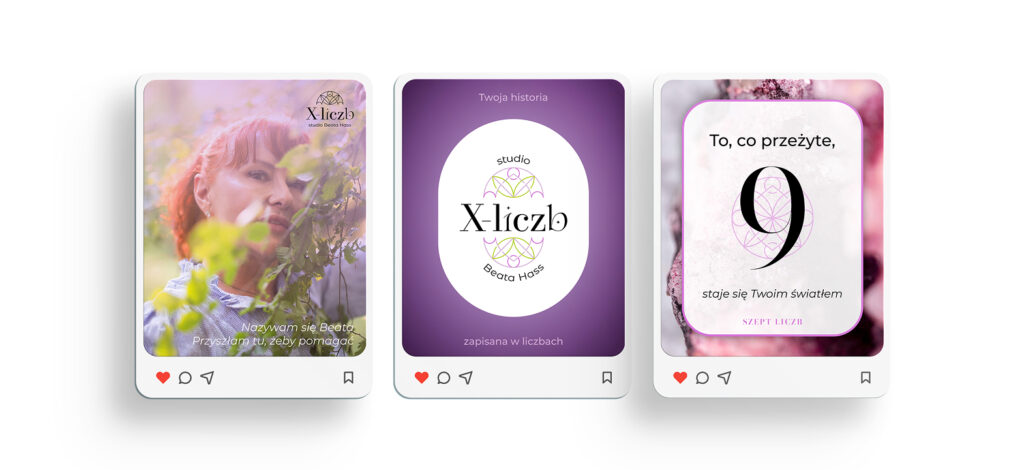 Studio X-liczb – realizacja Beevision